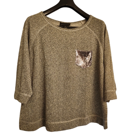 LANE BRYANT SILVER SPARKLE T WITH EXTRA SPARKLE POCKET SIZE 14/16 - Picture 1 of 12